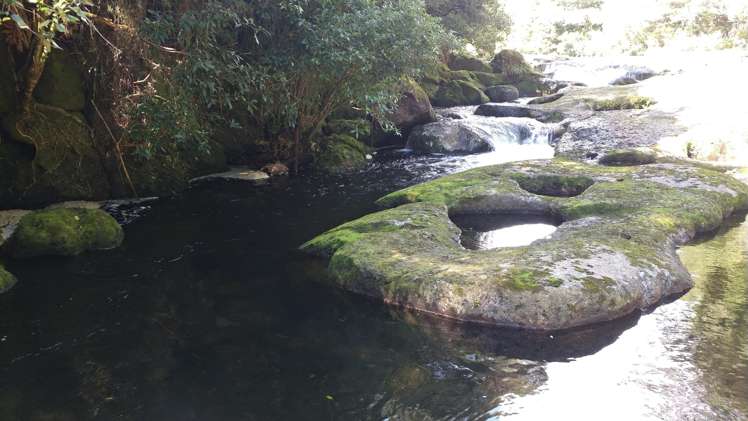 210 Wainui South Road Whakamarama_20