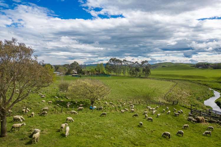 425 Te Kura Road Otane_41