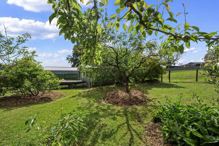 25 Felgrove Street Glendene_22