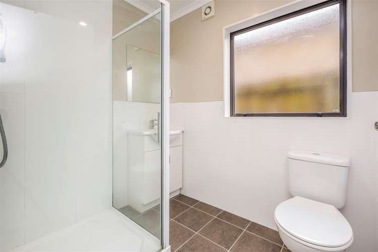 75 Mandival Avenue Flat Bush_9