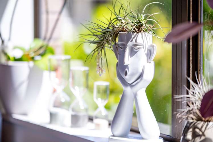 35 Stirling Drive Morrinsville_7