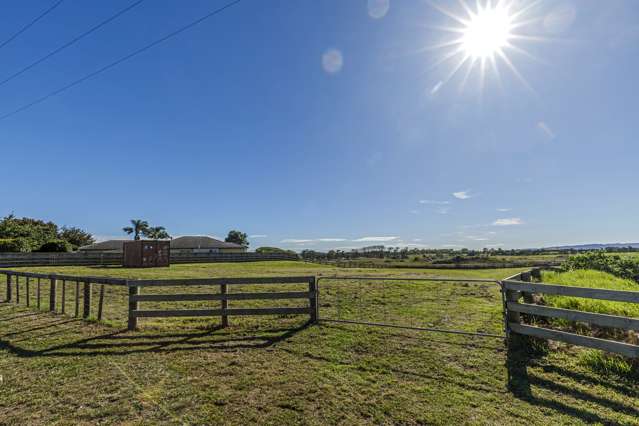 Sublime Karaka Lifestlye Opportunity