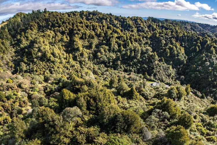 Lot 6 State Highway 4 Raurimu_20