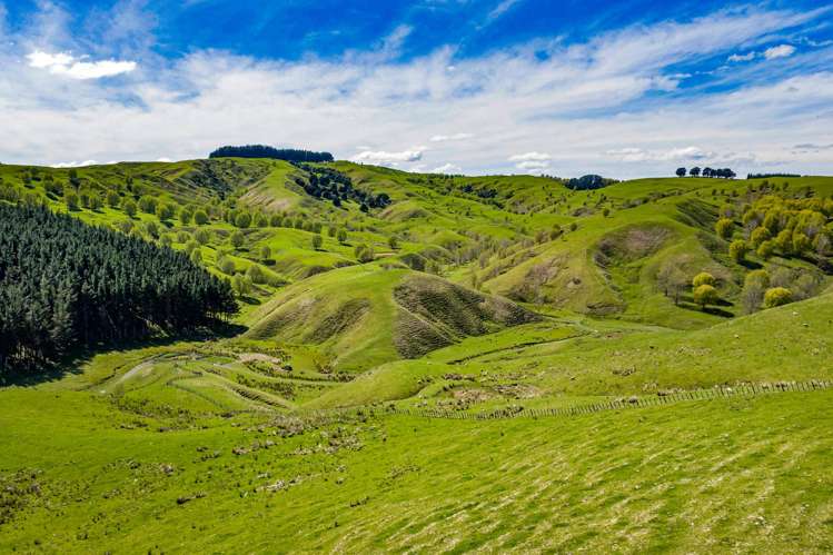 683 Bush Road Wallingford_35