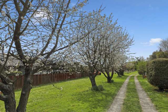 12 Hammerichs Road Rapaura_1