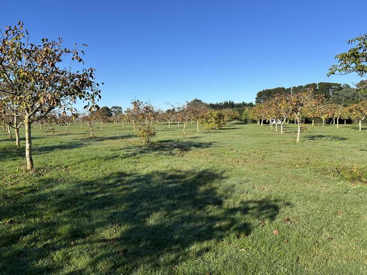 4/524 Weedons Road Rolleston_1