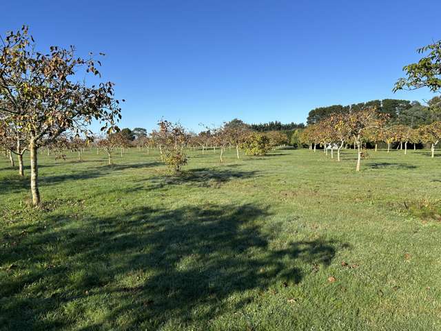 4/524 Weedons Road Rolleston_2