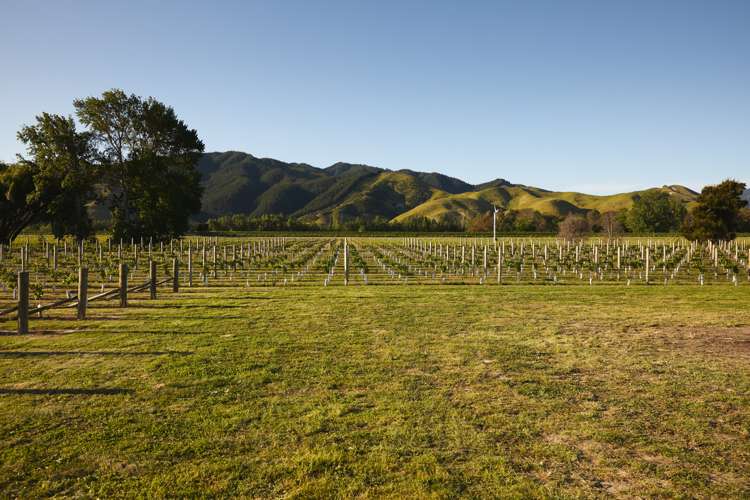 212 Selmes Road Rapaura_5