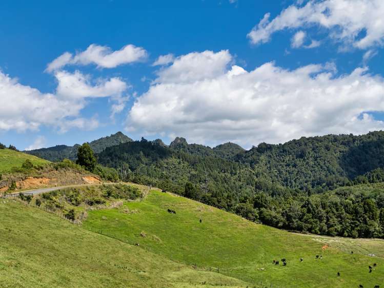 424A Hot Springs Road Katikati_36