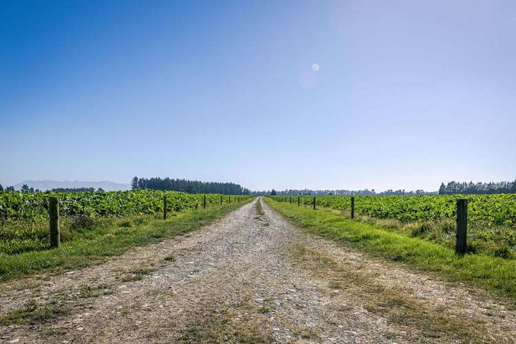 1710 Ealing Montalto Road Ashburton_36