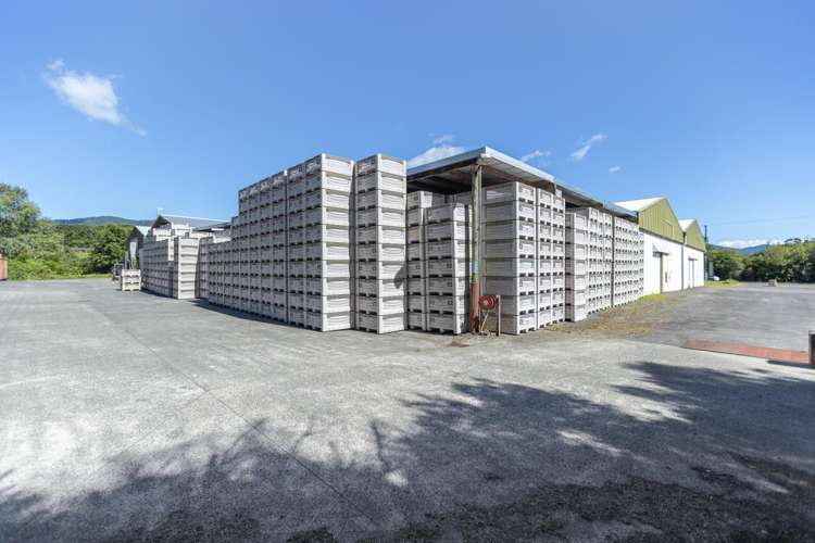 153 Rea Road Katikati_18