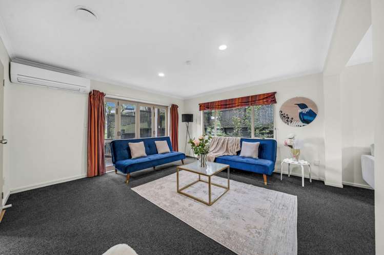 61B Tiverton Road Avondale_7