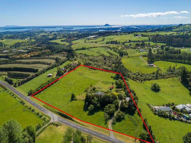 200 Ross Road Whakamarama_4