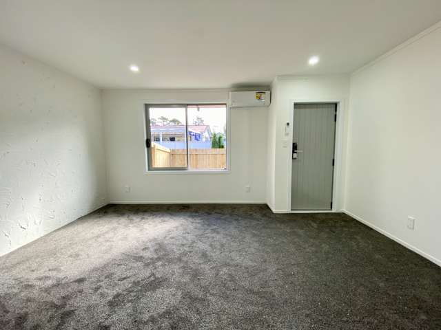 3/117 Bolton Street New Lynn_2