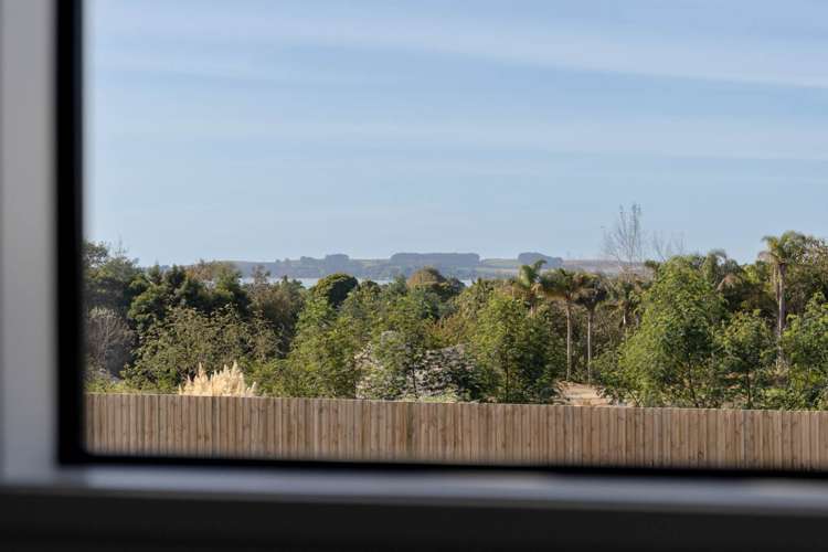 5 Te Ara Tanekaha Omokoroa_25