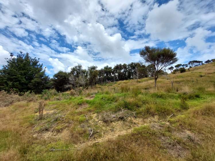 Lot 1/116 Bull Road Paparoa_21