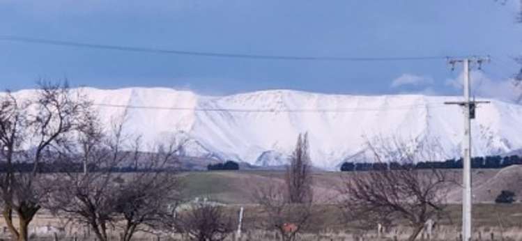 2907 Tarras Cromwell Road Tarras_3