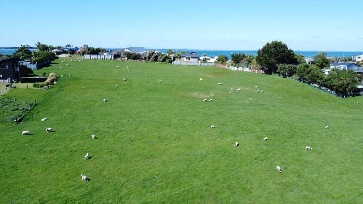 19 Irwin St Riverton_12