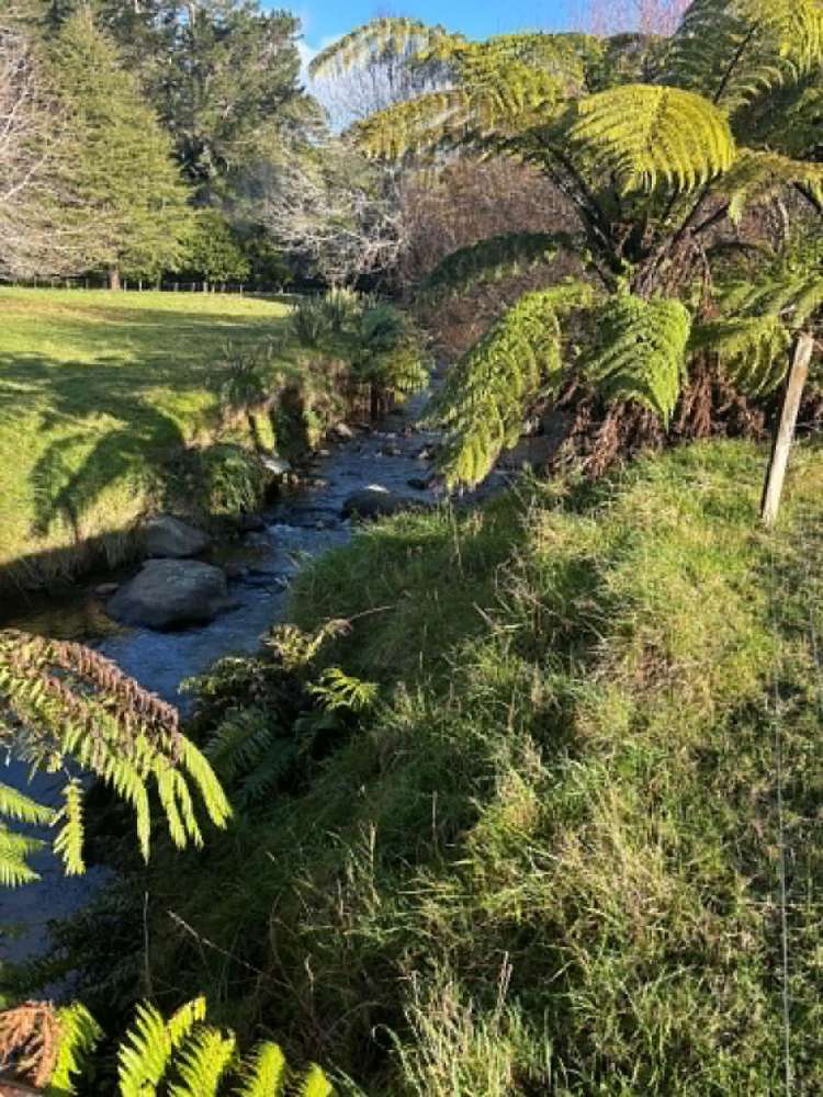 Lot 1 / 229 Hurford Rd Omata_0