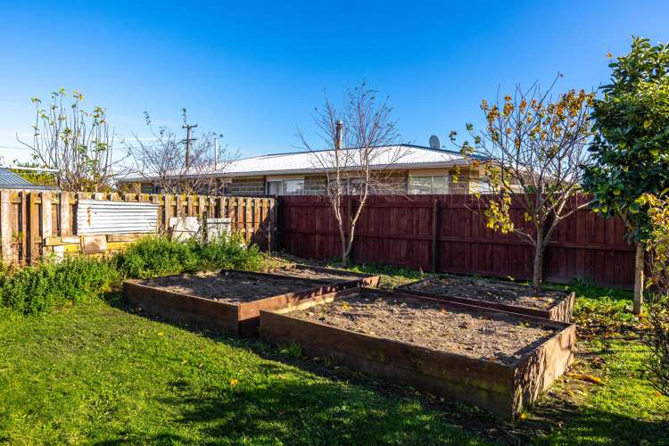 49 Ferry Road Spring Creek_17