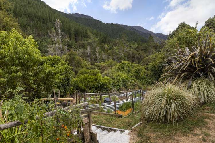 920 Wakamarina Road Havelock_27