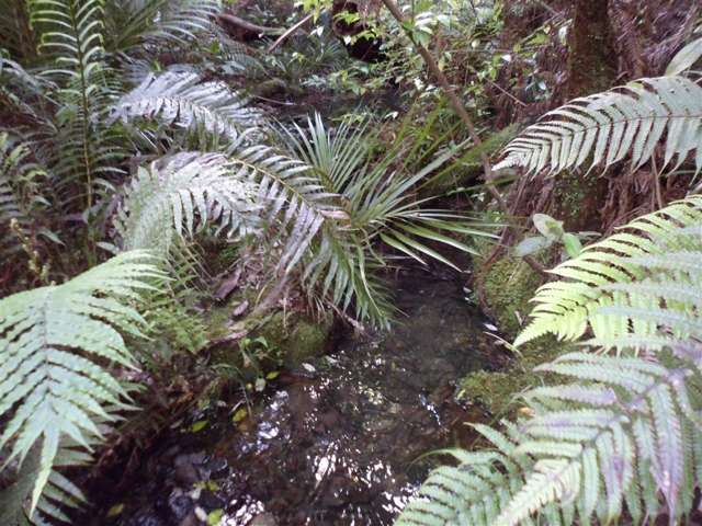 27 Omatai Road Peria_4