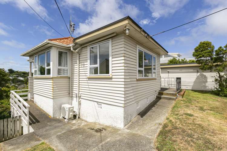 20 Fisher Street Johnsonville_15