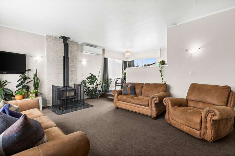23 Plunket Street Tamatea_2