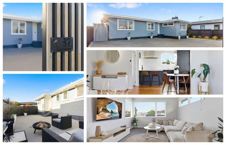 37 Concord Avenue Mt Maunganui_1
