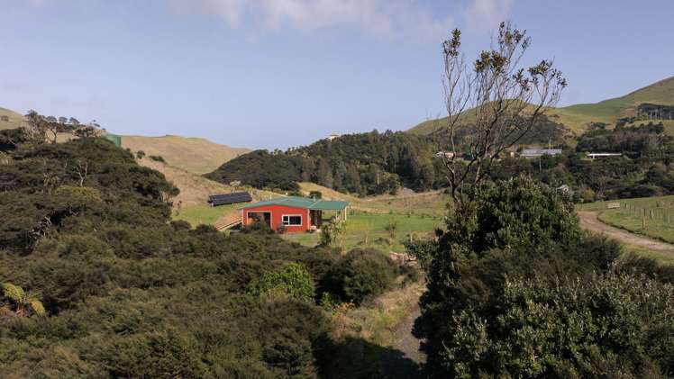 1809 Whaanga Road Raglan_24