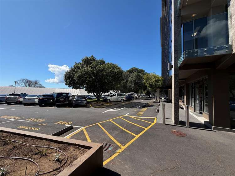 27 Gillies Avenue Newmarket_7