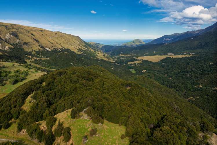 Lot 3/DP403510 Puhi Puhi Valley Road Kaikoura_8