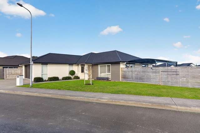 Sun, Style and Tararua Views