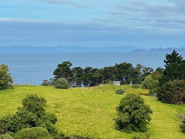 156 South Pacific Road Rakino Island_1