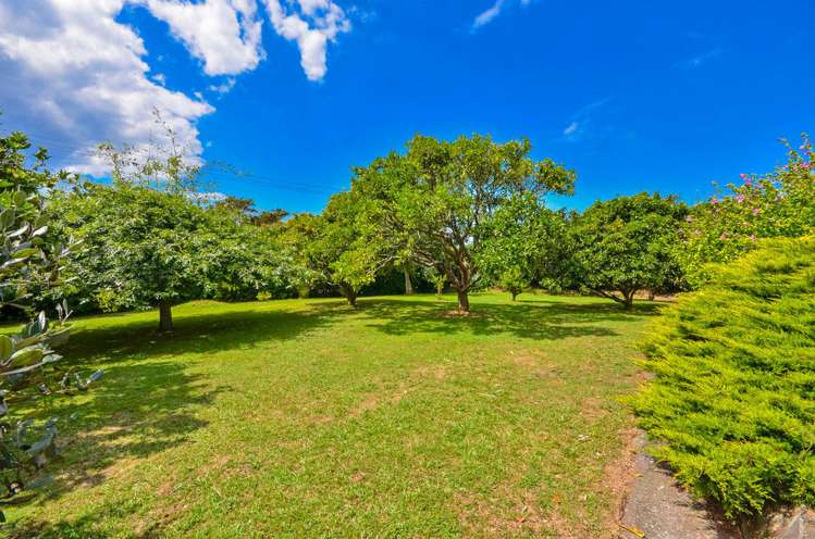 16 Durey Road Dairy Flat_17