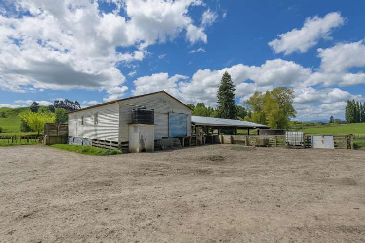 1163 Mangamako Road Ohingaiti_14