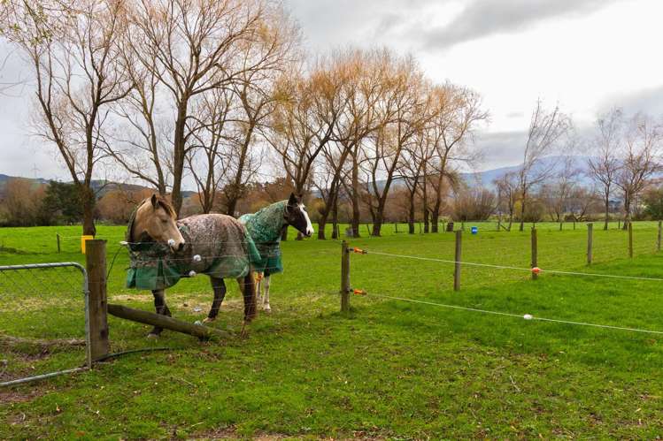 1 Vogel Street Woodville_47