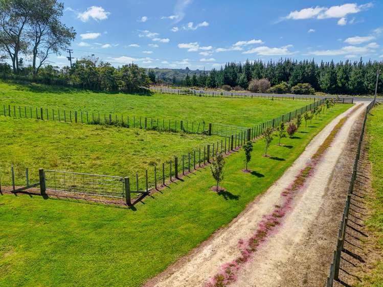 311 Rangitatau West Road Maxwell_20