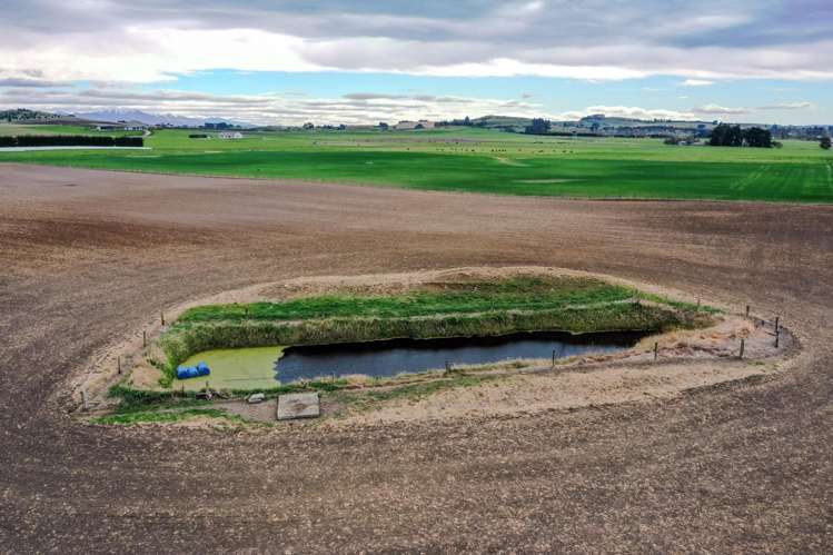 26 Springfield Road Totara_31