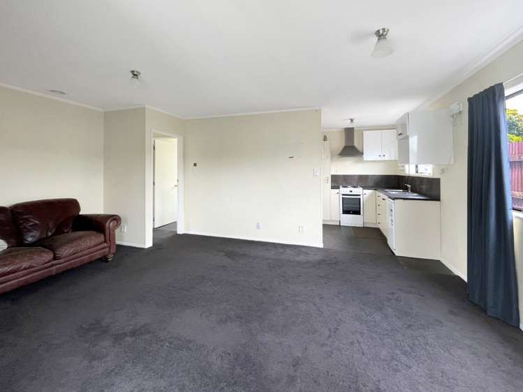 49b Cambridge Avenue Ashhurst_2