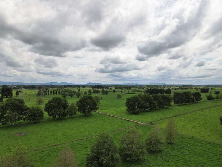 139 Taylor Road Gordonton_14