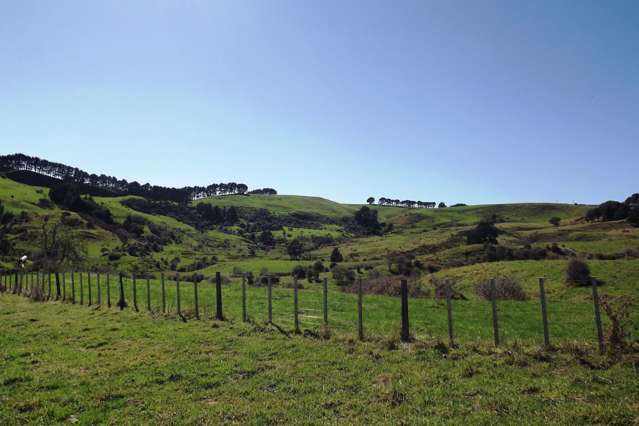 238 Waimaori Road Raglan_3