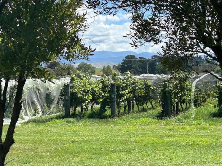 7 Wingate Road 10754_10