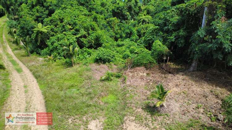 Address withheld Savusavu_29