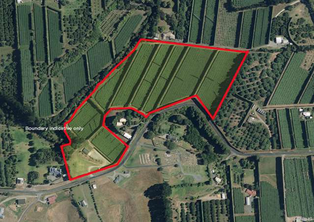 90 Hot Springs Road Katikati_1