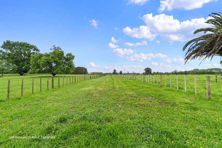 164 Lee Martin Road Tamahere_14