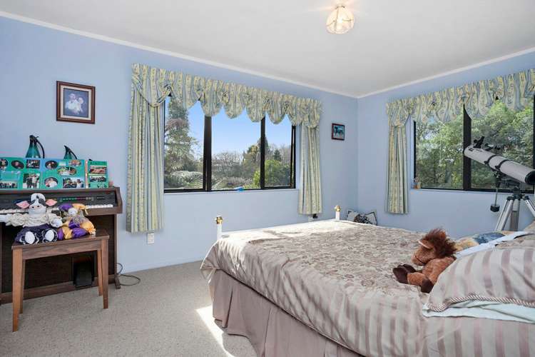 78 Rolleston Street Kihikihi_9