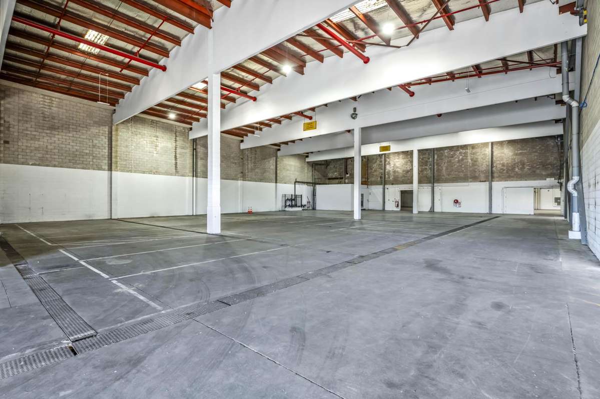 48 Wilkinson Road_5