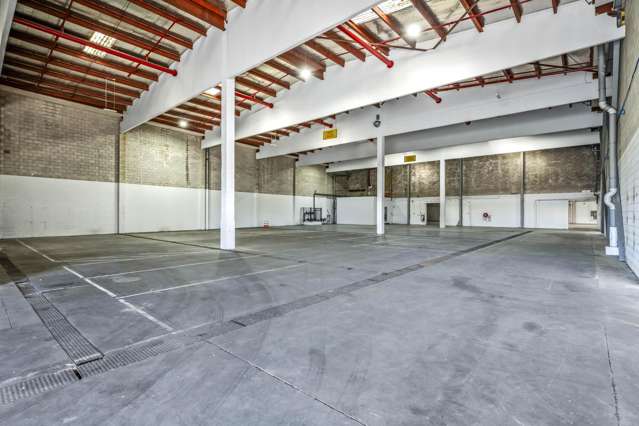 48 Wilkinson Road Ellerslie_1