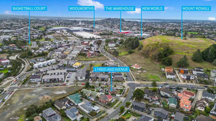 1 Freeland Avenue Mount Roskill_20